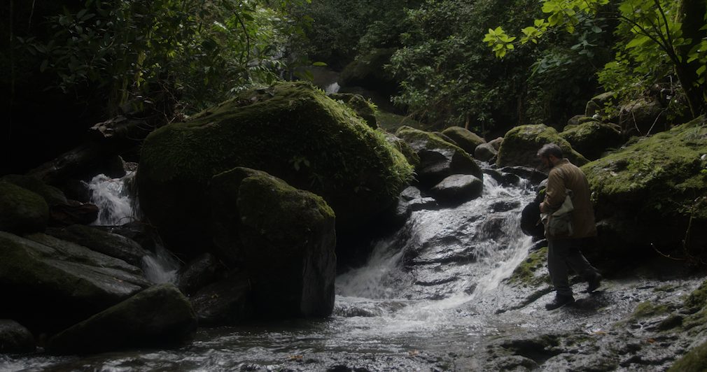 Salmones Rosas awarded at the 28th Ícaro International Festival in Guatemala